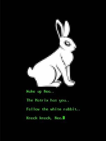 Follow the rabbit